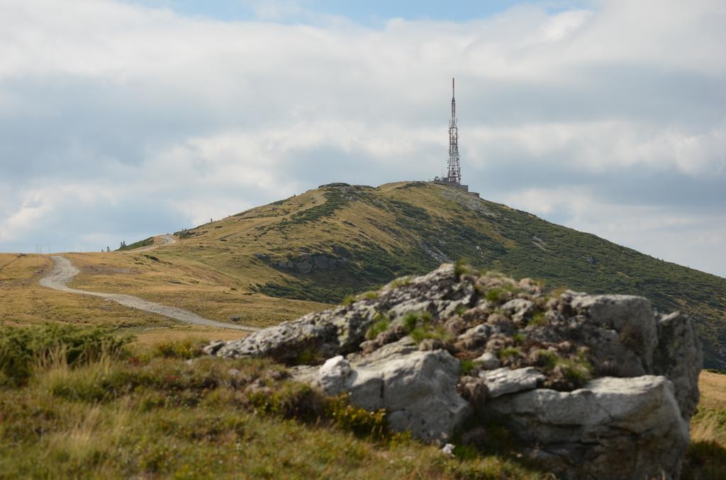 Pensiunea Viorica Arieşeni Esterno foto