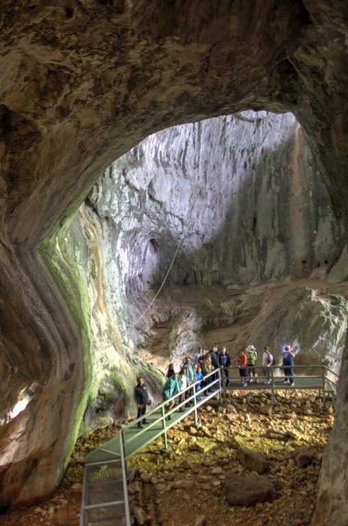 Pensiunea Viorica Arieşeni Esterno foto